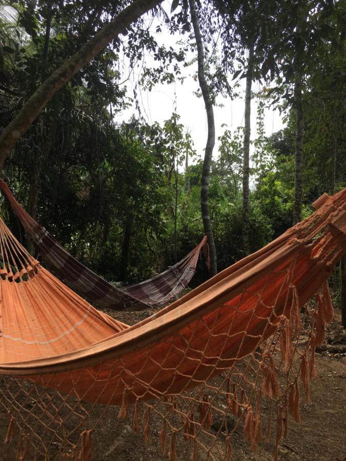 Vida Longa Campsite *