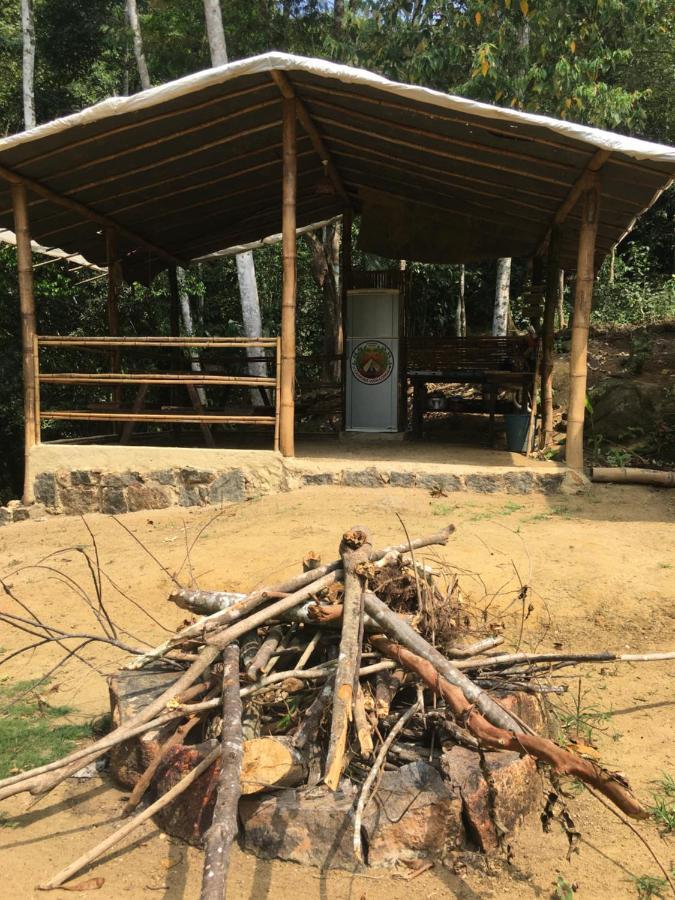 Campsite Vida Longa *