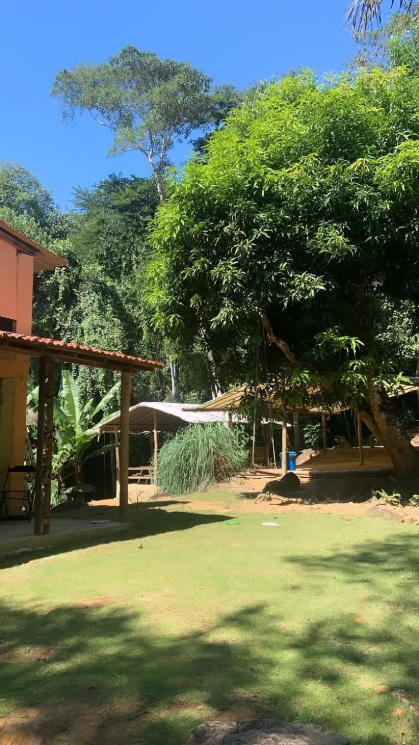 Vida Longa Campsite