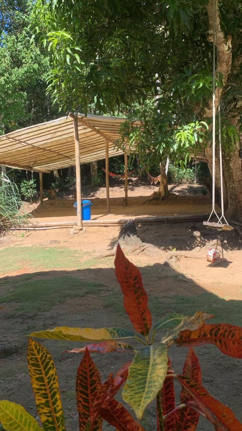 Campsite Vida Longa